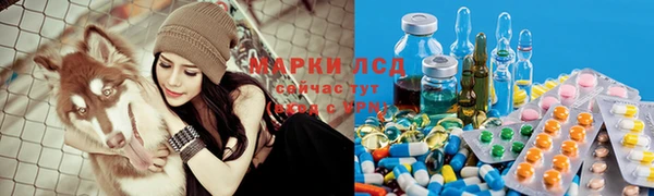 дживик Зеленодольск