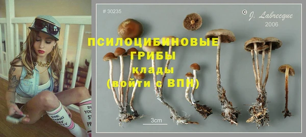 стафф Заволжск