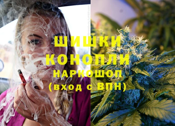 МДПВ Заводоуковск