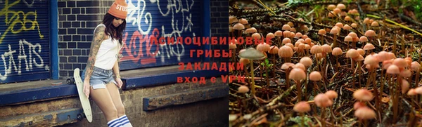 мдпв Ельня
