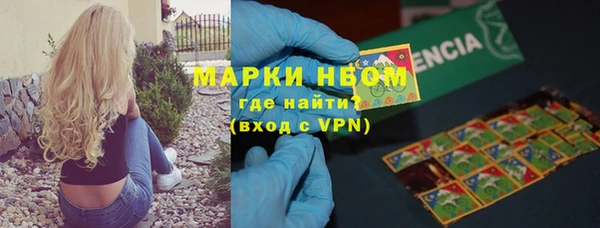 стафф Заволжск