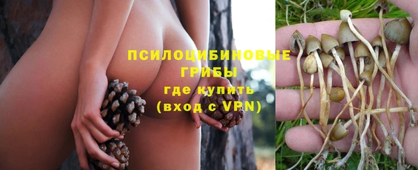 МДПВ Заводоуковск