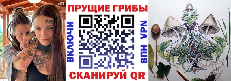 гидра зеркало Абаза Галлюциногенные грибы MAGIC MUSHROOMS продажа наркотиков